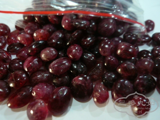 P1010919.JPG