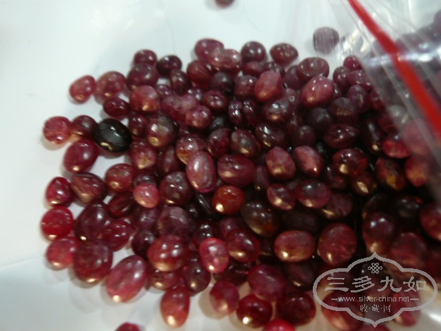 P1010921.JPG
