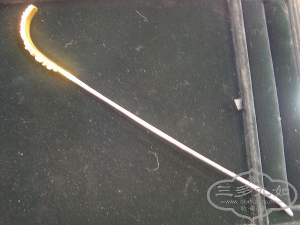 zDSCN9918.JPG