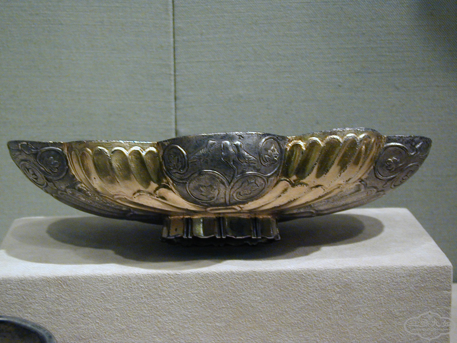 PB010097.JPG