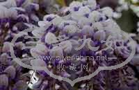 969cbf44477e37bbb2b7dca1.jpg