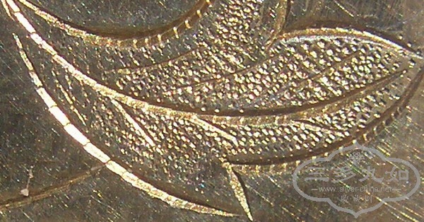 P5210011.TSHW.JPG