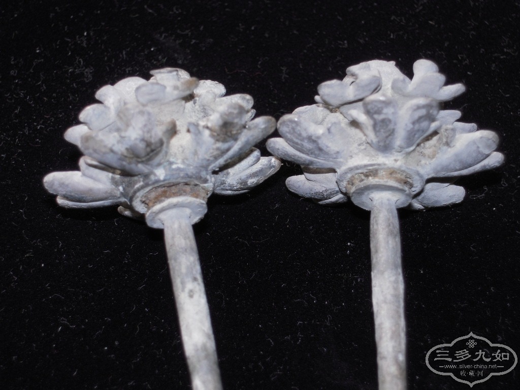 DSCN1576.JPG