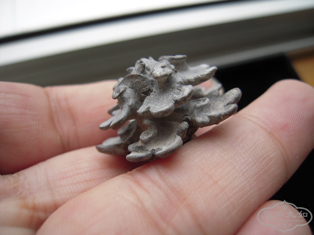 DSCN1580.JPG