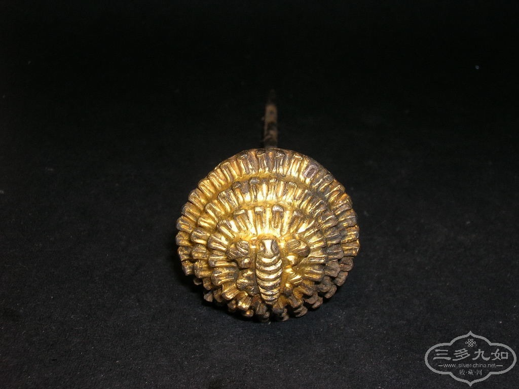 DSCN1193.JPG