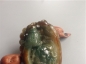 Ȫ桿F937ڱƮƤ䡰˫Ϸĵ׹