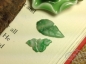 已连接120归小金鱼拍40---清代阳绿翡翠蝴蝶叶子
