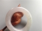 Ȫ桿F581߰ʮСĻ