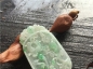 Ȫ桿H194ڱƮ䡰ϲ÷ҡ׹