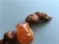 Ȫ H127ں觡ϲޡñ