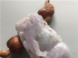 Ȫ桿H191ڱŴ䡰«Ҽ