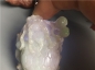 【玉泉文玩】L226创汇期春带彩翡翠荷叶龙龟手把件