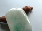 Ȫ桿H204ڱˮ䱳