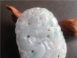 Ȫ桿F197ڱƮ䡰Ϸ顱