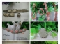 【月铭风青】【水夏】拍品一览表，今晚九点正式开拍哦！