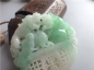 Ȫ桿F259ڰ׵οյ񡰺«Ǯ
