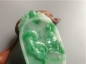 Ȫ桿F488Ŵ䡰𡱹
