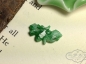 拍37---清代满阳绿翡翠花片