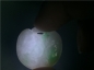【玉泉文玩】L204清代老坑细糯种白底青飘阳绿翡翠荷叶如意形小锁牌