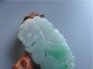 Ȫ G792ڱƮ䡰ҡ׹