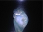 Ȫ桿F723ڱƮ䡰ҡС׹