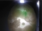 Ȫ桿F556ŴƮ䡰Ǯޡ