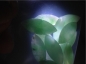 Ȫ桿F647ڱŴƮ˫12