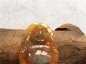 Ȫ桿C949-߰ʮ䡰ַ𡱹׹