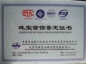 种水好，漂阳绿，翡翠福挂坠
