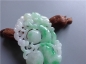 Ȫ桿H534ڱŴƮ̡١Ƶ׹