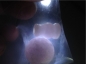 Ȫ桿F664ڱŴС«׹