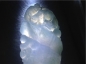 Ȫ桿F588ڱ䡰ҡ׹