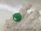 【铭】清 满绿金钱翡翠小扣子 100
