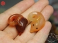 ʱڵ觺һԣ)