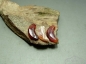 ˿Ƥ3 ݳ