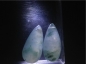 Ȫ桿F689ڱƮ䡰ˮΡС׹һ