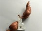 Ȫ H033ڱ䡰ФС׹